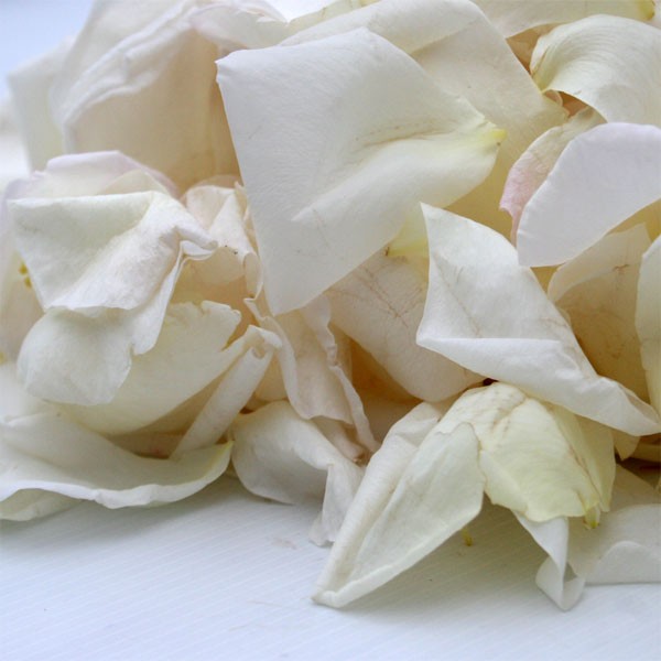 2079-Petales-de-Roses-frais-Blanc.jpg