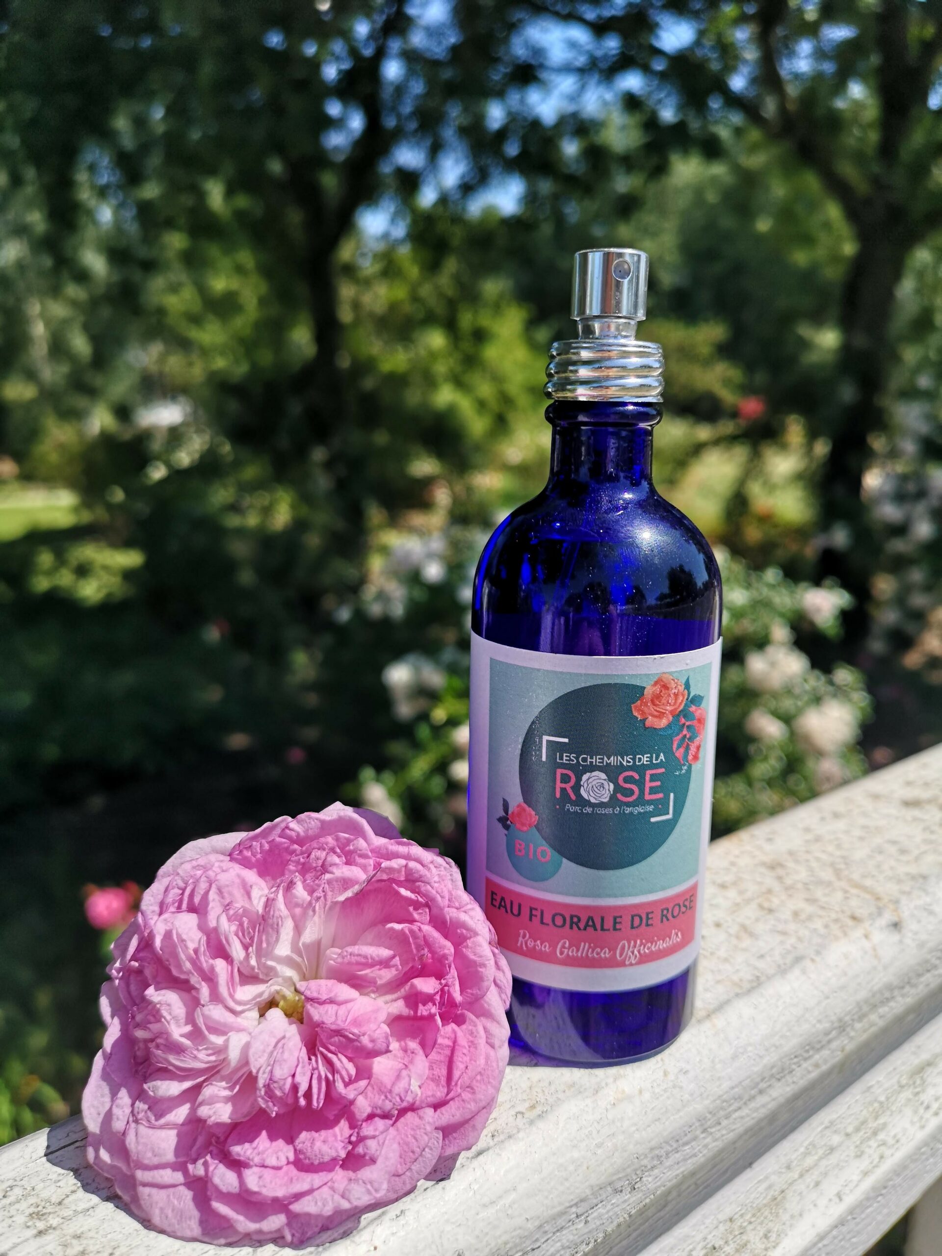 4727-Eau-Florale-Rose-BIO-Gallica-Officinalis-Les-CHemins-de-la-rose-scaled-1.jpg