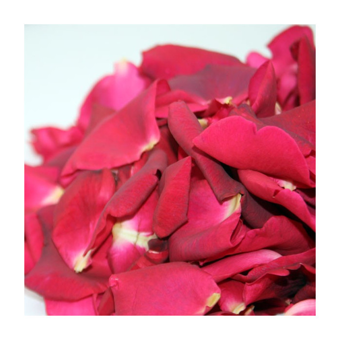 5089-Petales-de-roses-frais-rouges.jpg