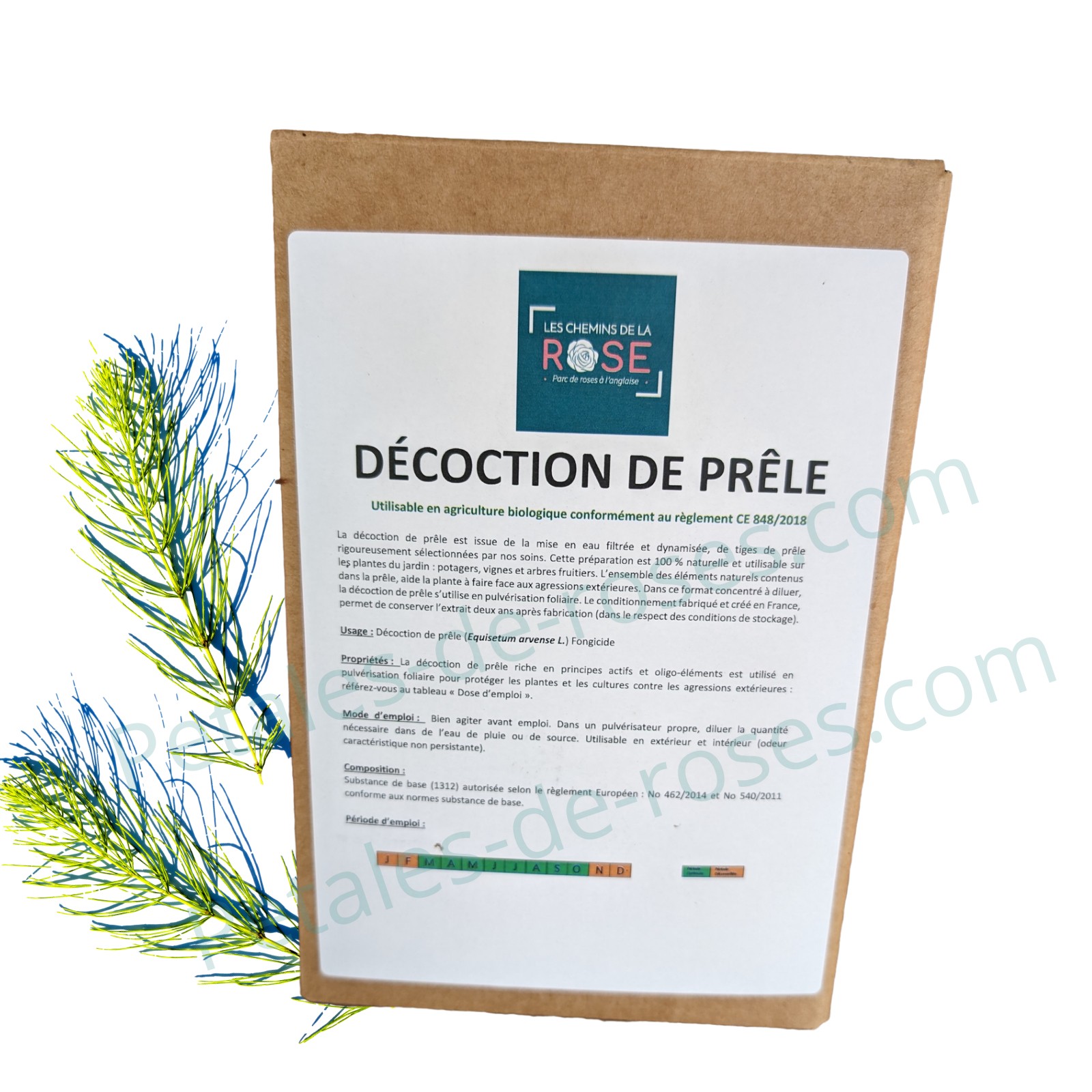 5496-Decoction-de-prele.jpg